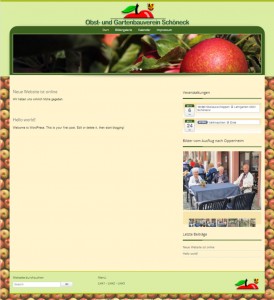 Website